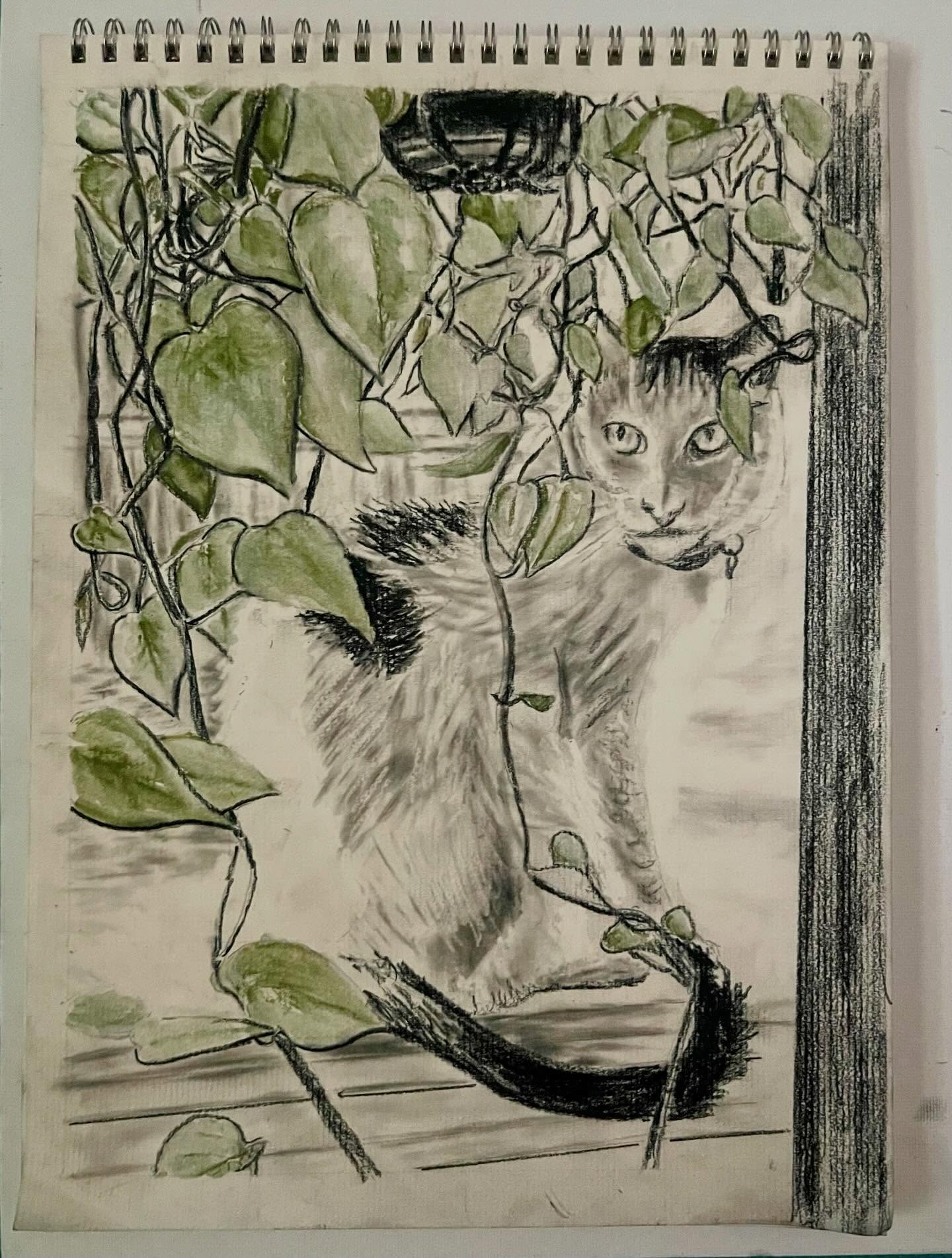 Violet — Cat surrounded by hanging plants