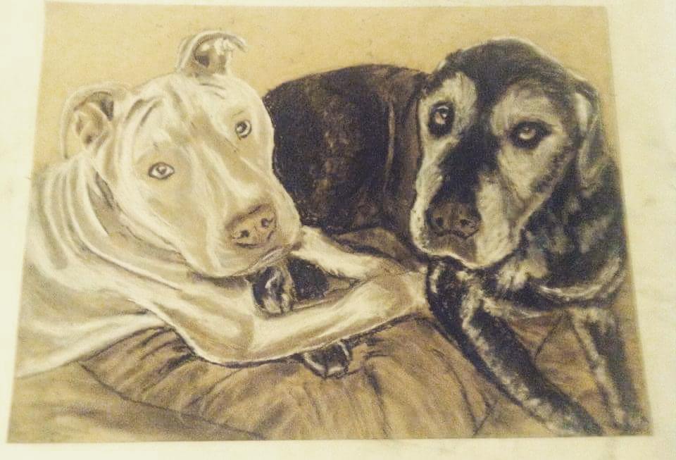 Old Friend — Chocolate lab on tan paper