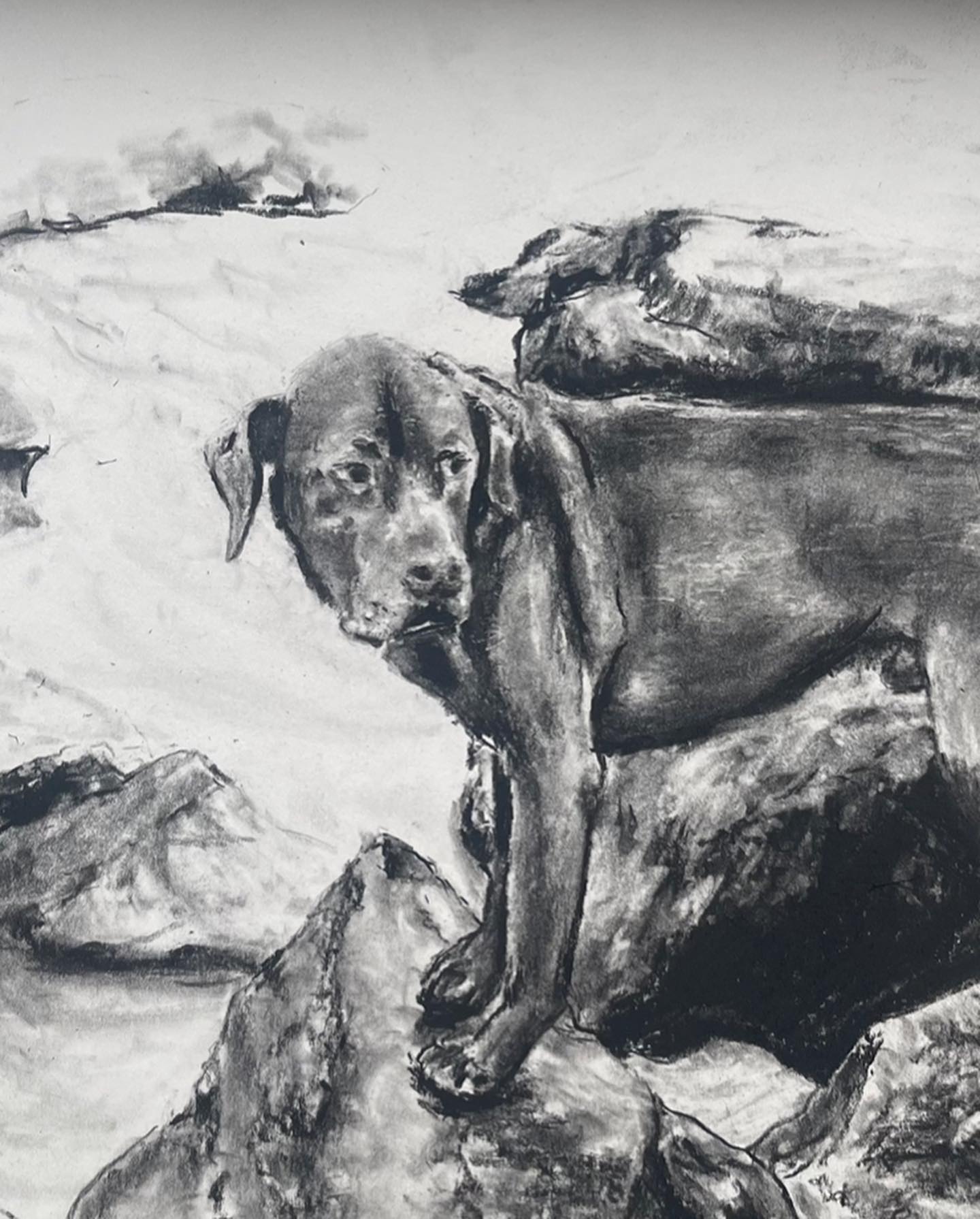 Cooper