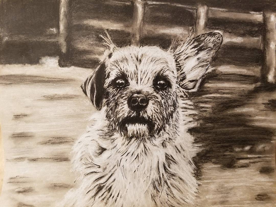 Dog portrait