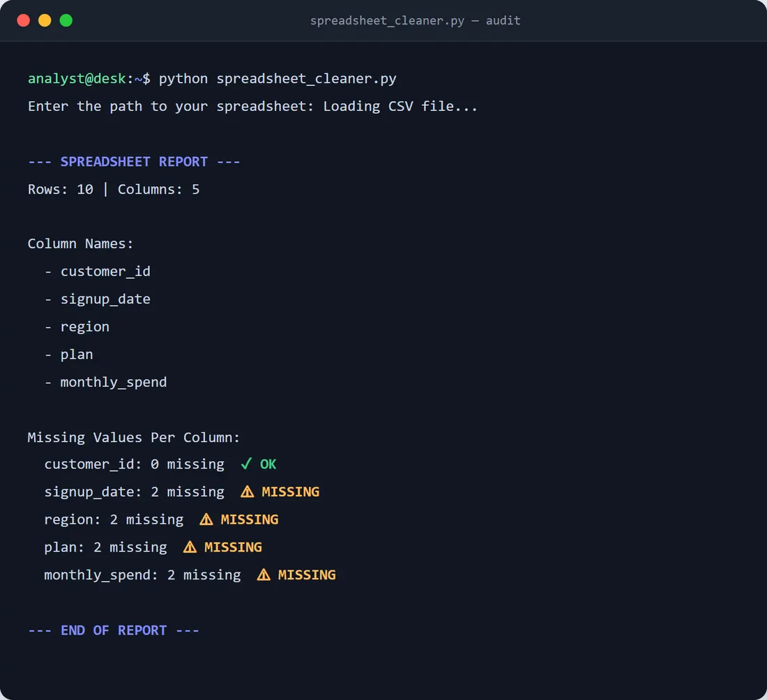 Spreadsheet Cleaner: a terminal audit report flagging missing values per column